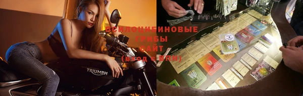 крисы Зерноград