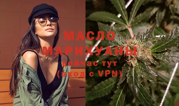 стаф Аркадак