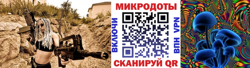 Галлюциногенные грибы прущие грибы  Пошехонье 